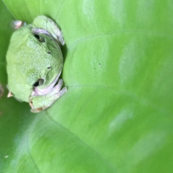 Meet your Posher, Holly - Picture 7 of 12